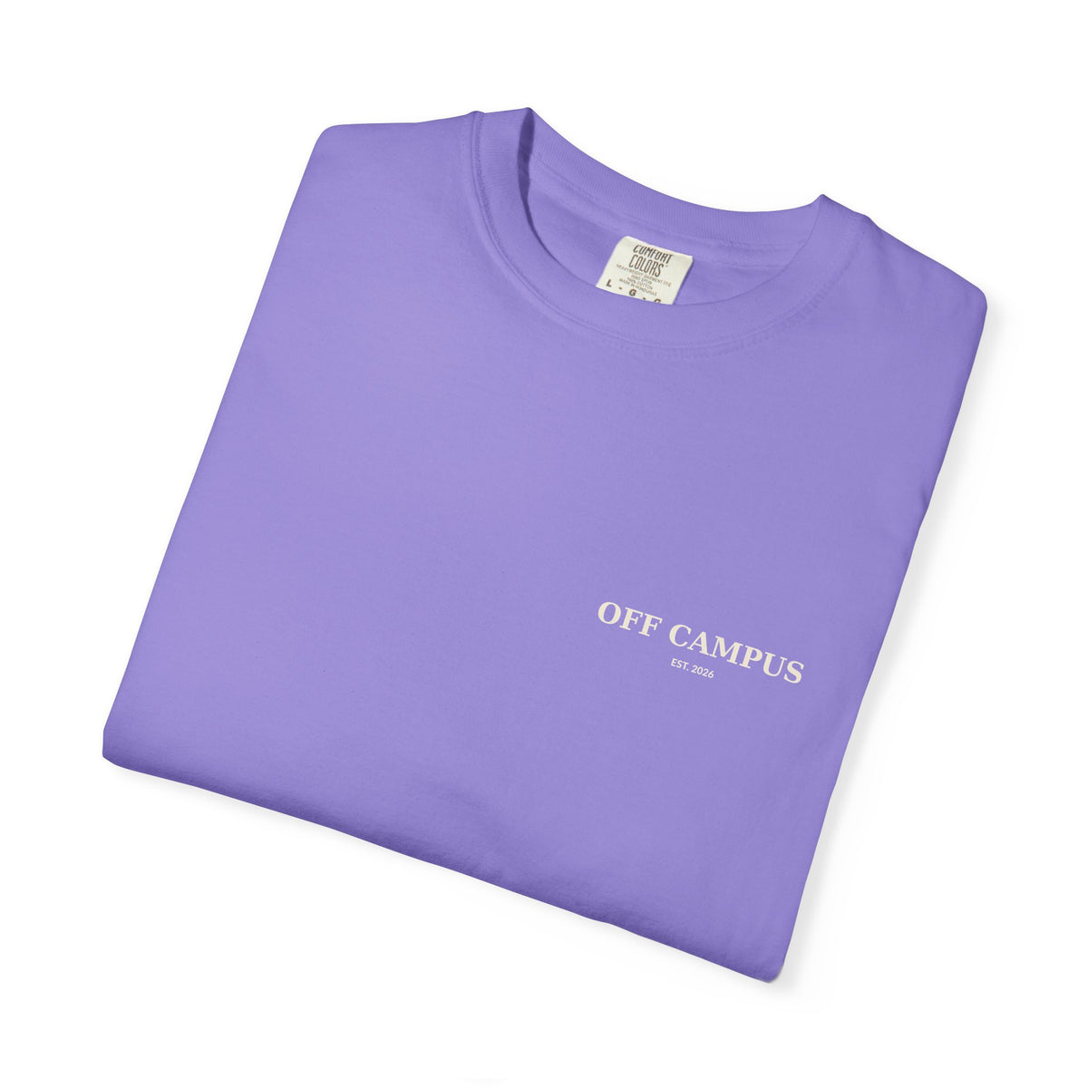 Saturday Division T-Shirt — “Off Campus” Vintage Garment-Dyed Tee