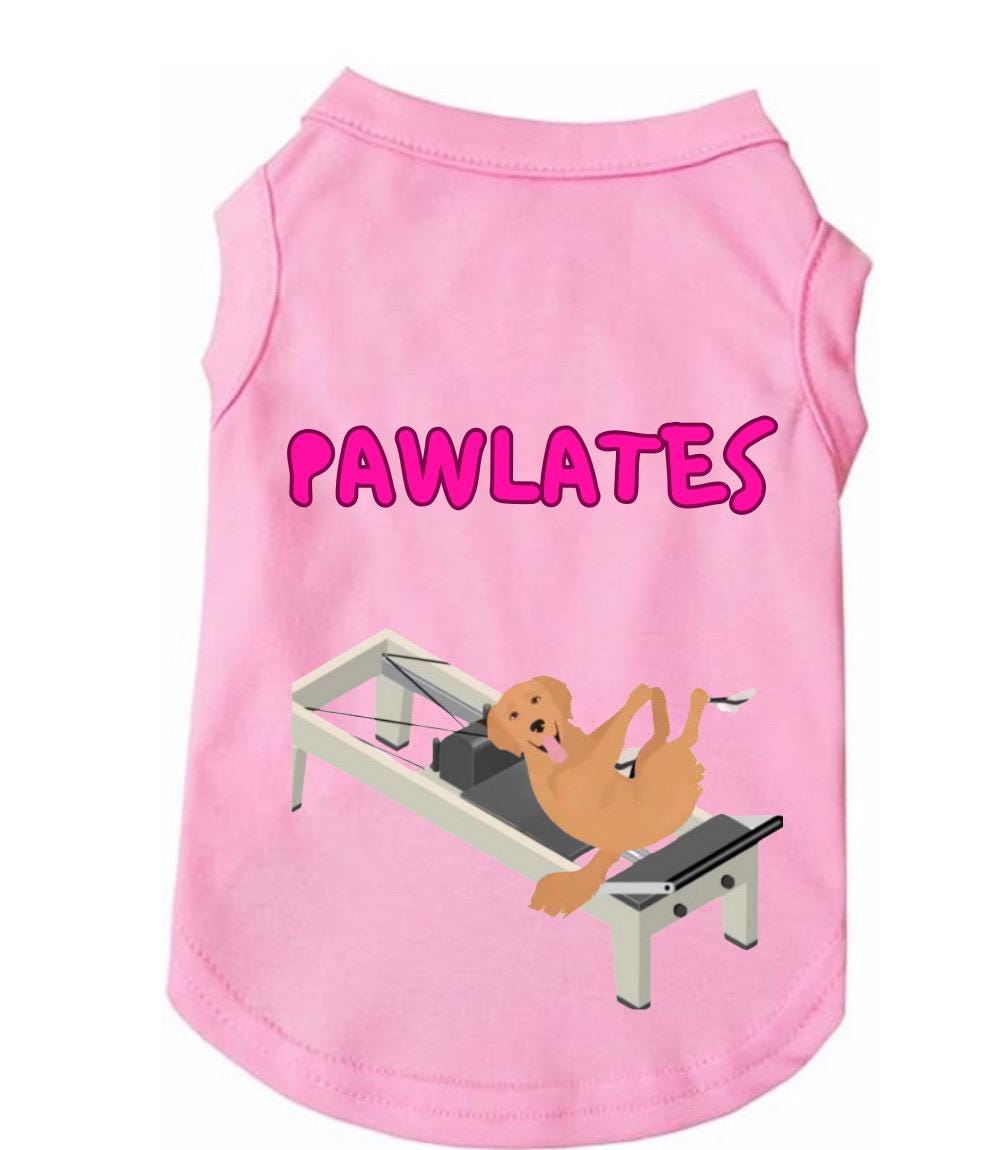 Pawlates Dog Shirt or Hoodie β Funny Pet Workout Shirt, Cute Dog Gym Tee, Pilates Dog Outfit, Small Dog Clothes