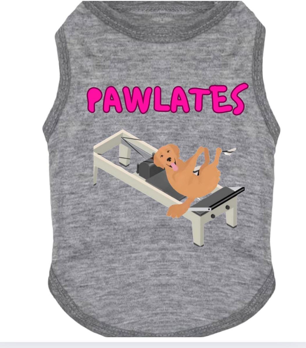 Pawlates Dog Shirt or Hoodie β Funny Pet Workout Shirt, Cute Dog Gym Tee, Pilates Dog Outfit, Small Dog Clothes