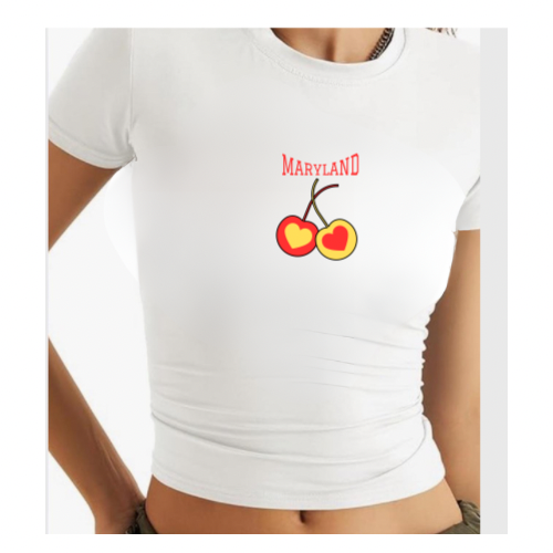 College sweatshirt with Cherries and π