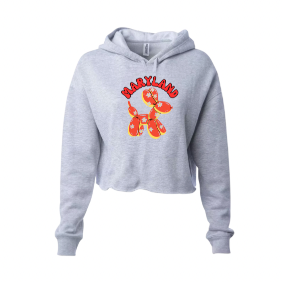 College sweatshirt with Koons Inspired Dog