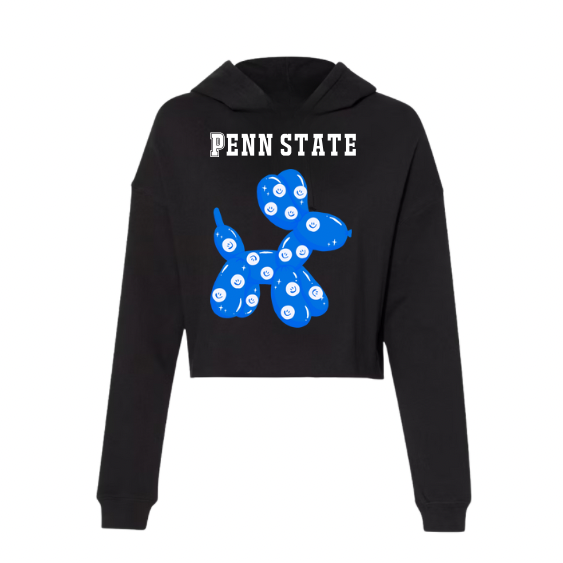 College sweatshirt with Koons Inspired Dog