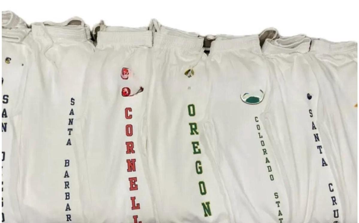 Custom College VIBE retro design