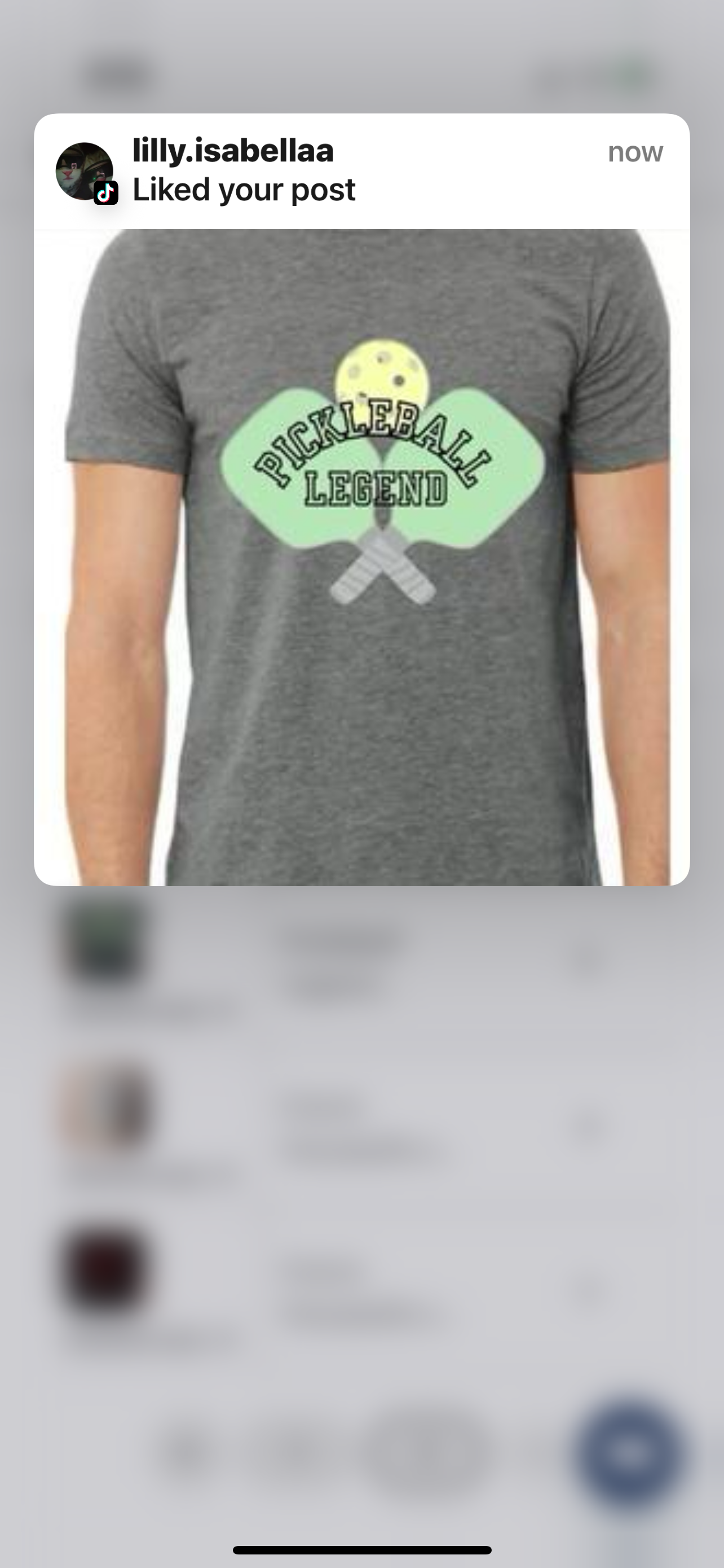 Sports Apparel/Accessories: Pickleball, Mahjong, Tennis……