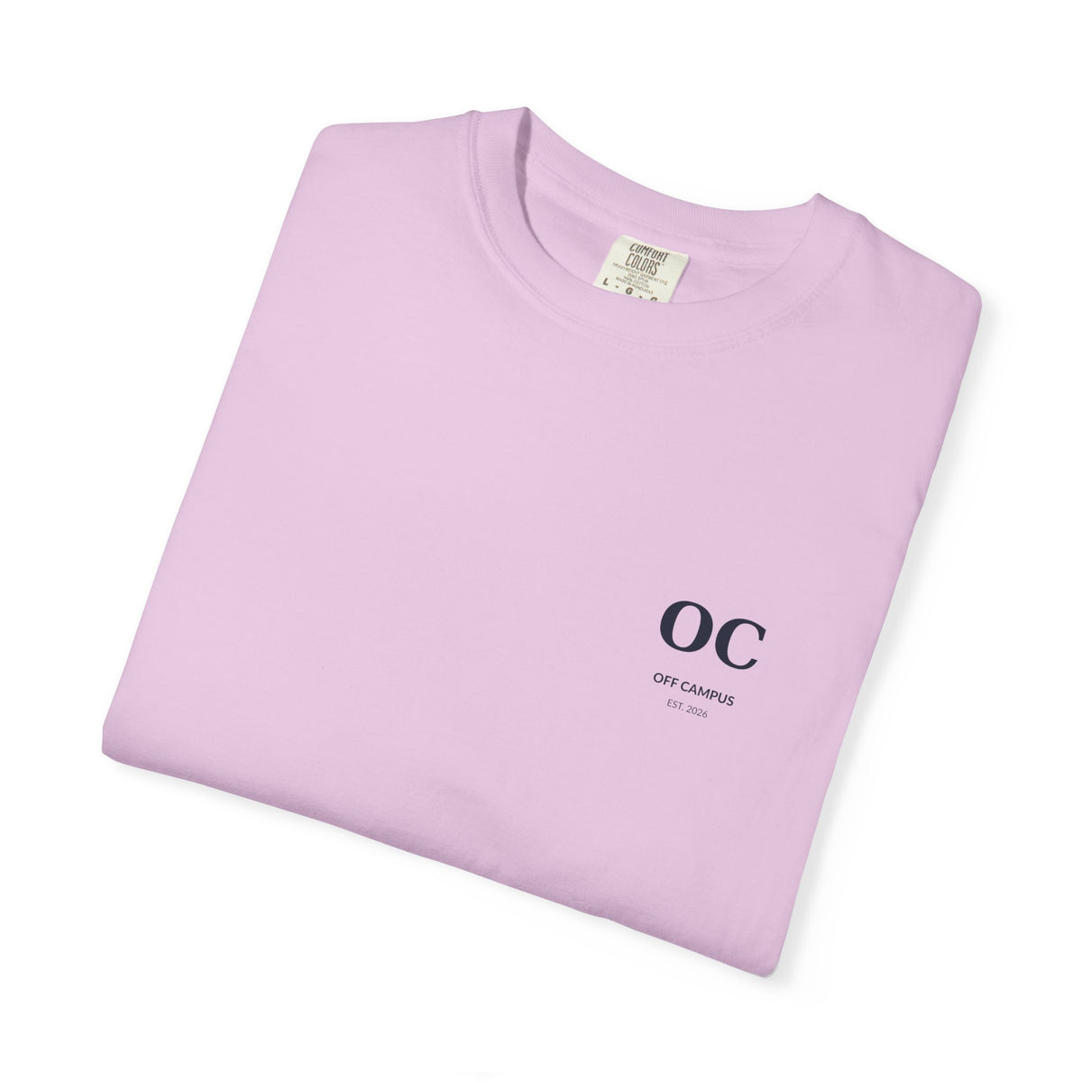T-Shirt — "Off Campus University" Vintage Campus Tee