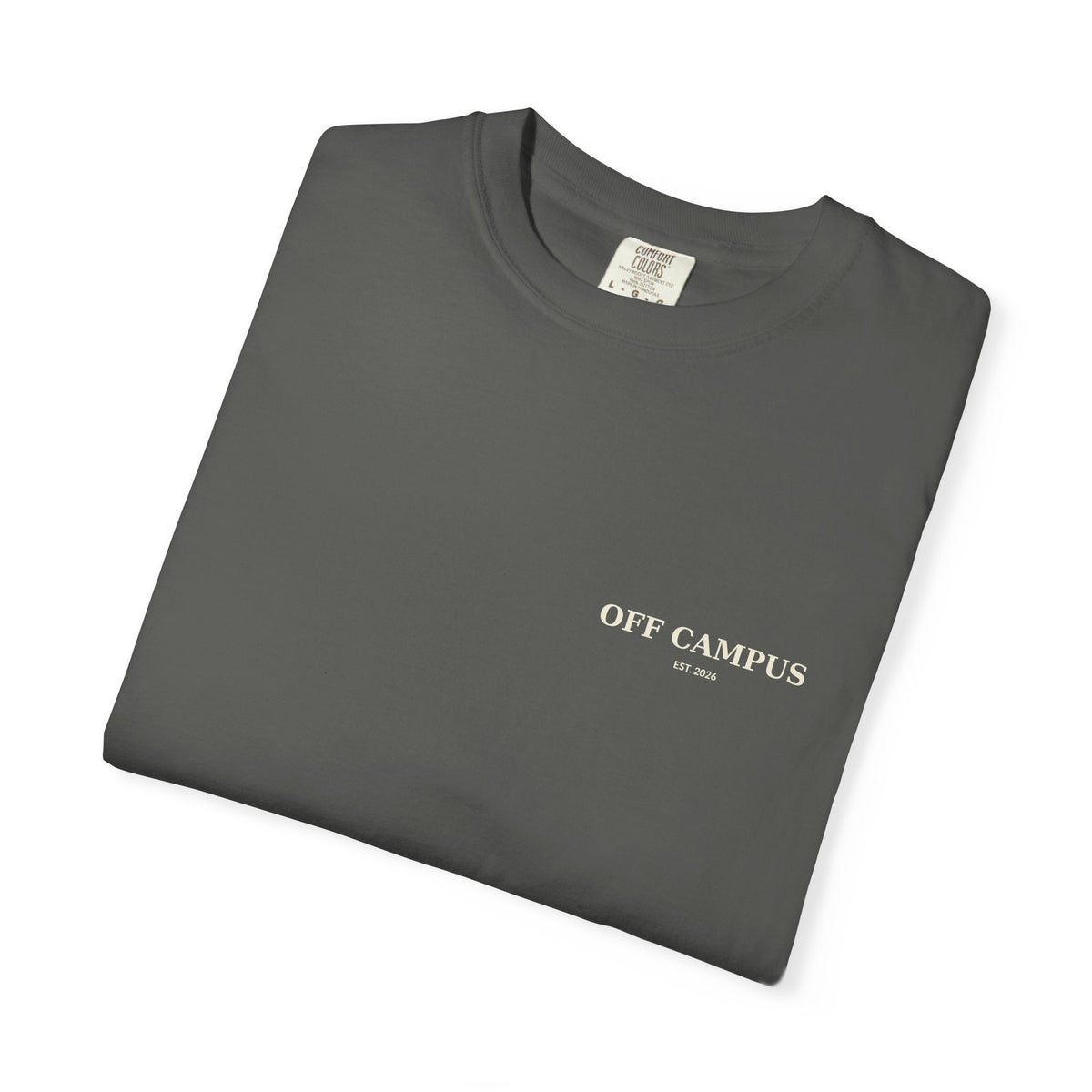 Saturday Division T-Shirt — “Off Campus” Vintage Garment-Dyed Tee