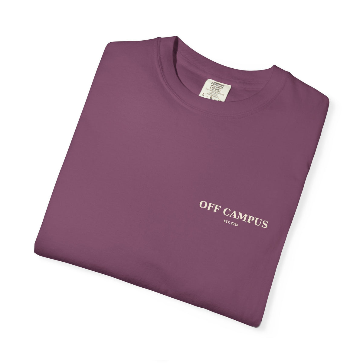Saturday Division T-Shirt — “Off Campus” Vintage Garment-Dyed Tee