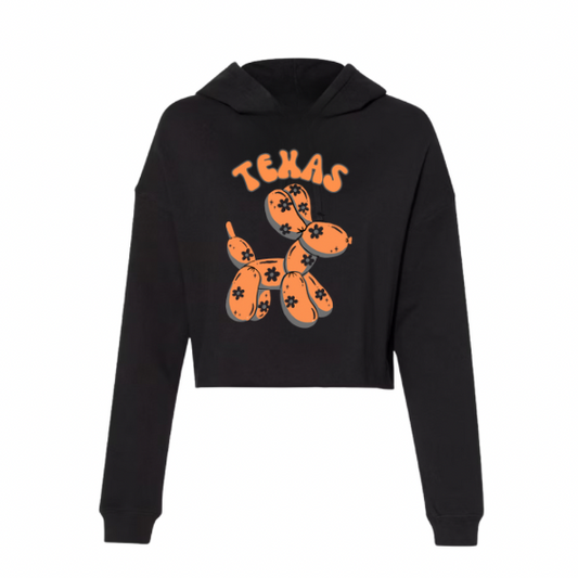 College sweatshirt with Koons Inspired Dog
