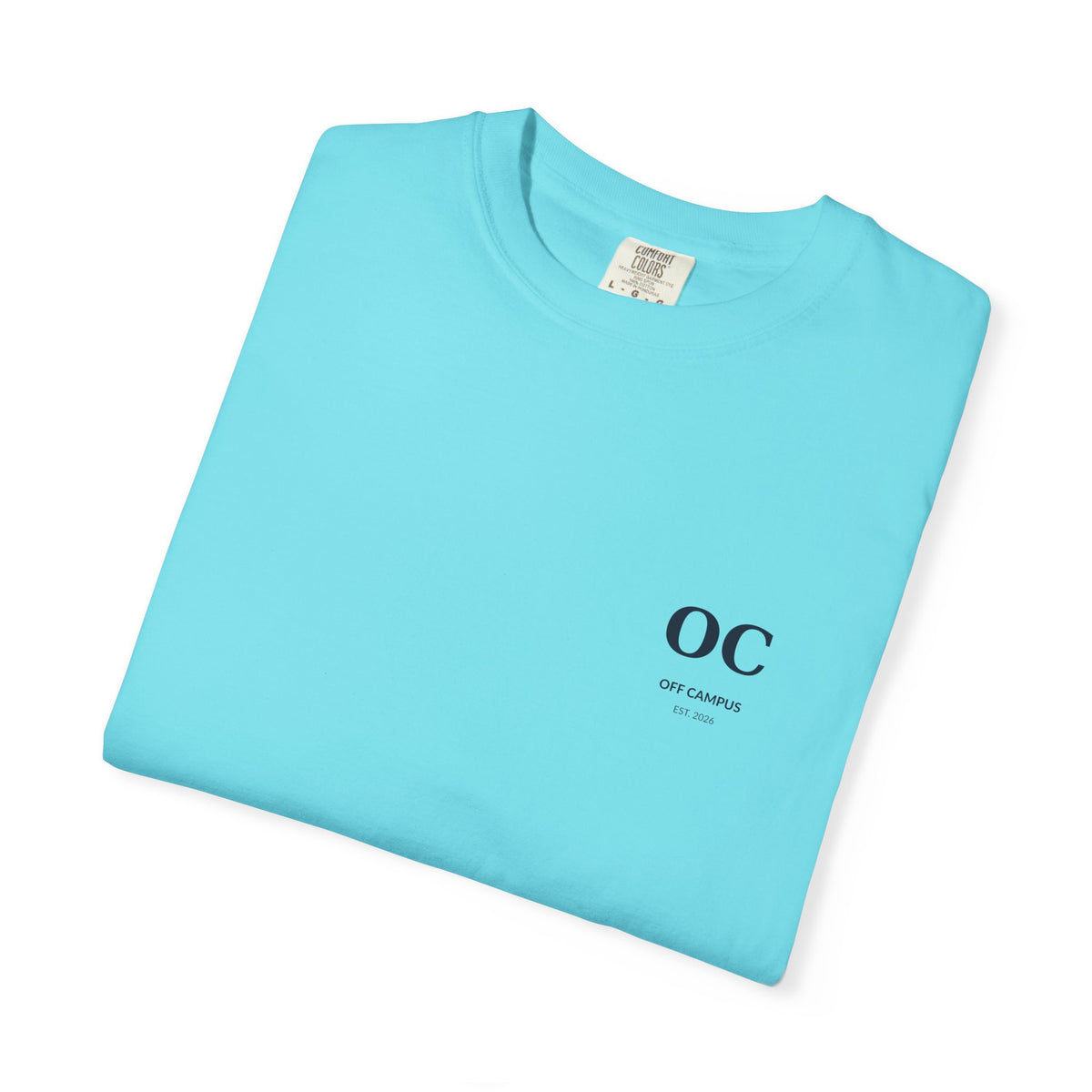 T-Shirt — "Off Campus University" Vintage Campus Tee